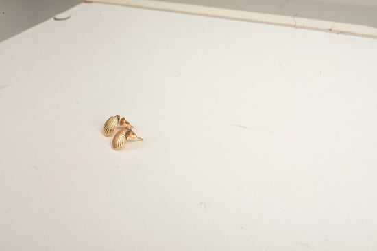 Gold Seashell Earrings